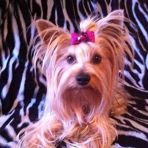 Meet your Posher, Stacey